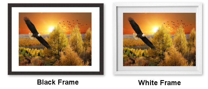 Select Your Frame